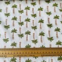 Popeline Coton Palmiers x 10cm